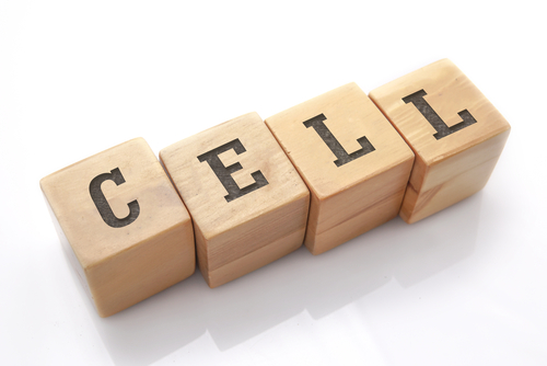 Celle