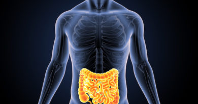 Intestine with skeleton - tarme