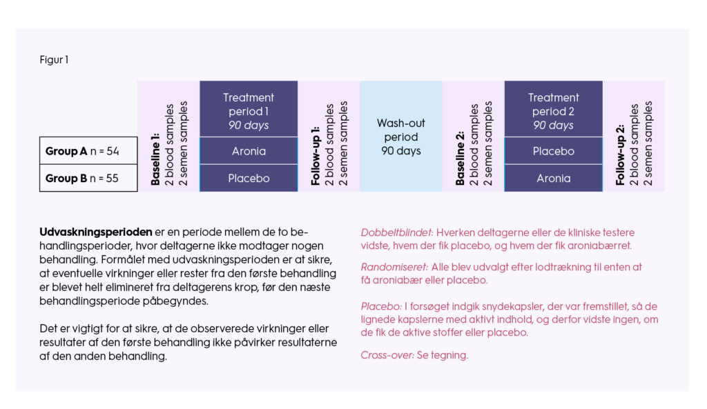 Figur 1 til artiklen om aronia bær