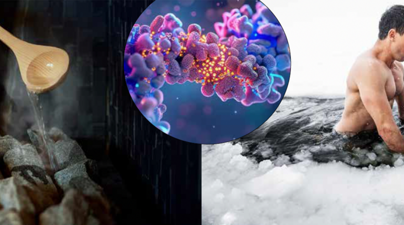 Bliv klog på kulde og varmechok proteiner - feb 2025