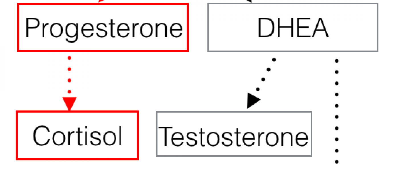 Hormonsystem