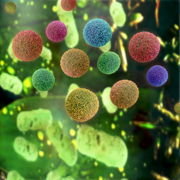 Pollen – 3D Render Pollen - 3D Render
