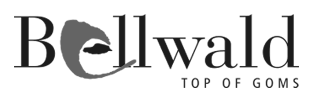 Bellwald Top of Goms Logo – Referenz-Kunde SuperShow – Showact buchen Schweiz