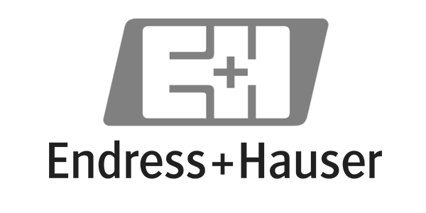 Endress+Hauser Logo – Referenz-Kunde SuperShow Schweiz