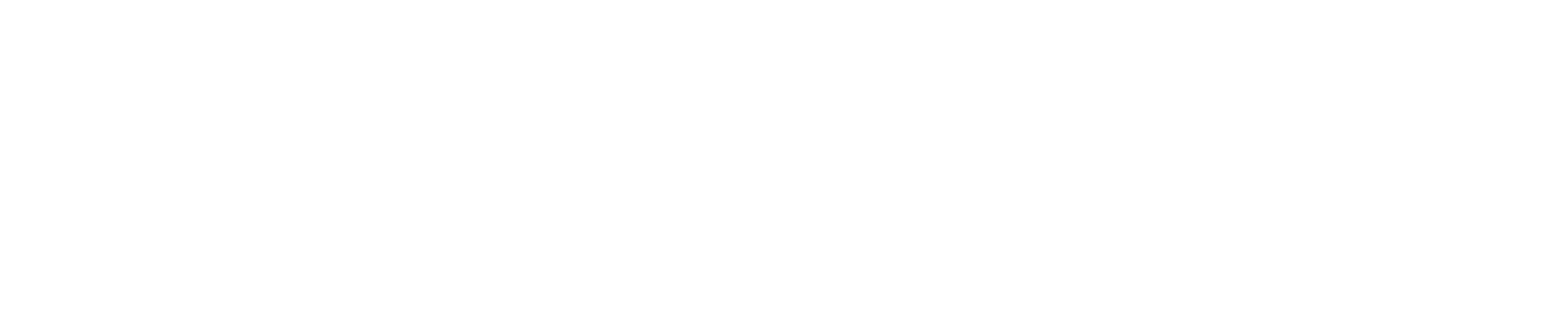 TEMcompany Support