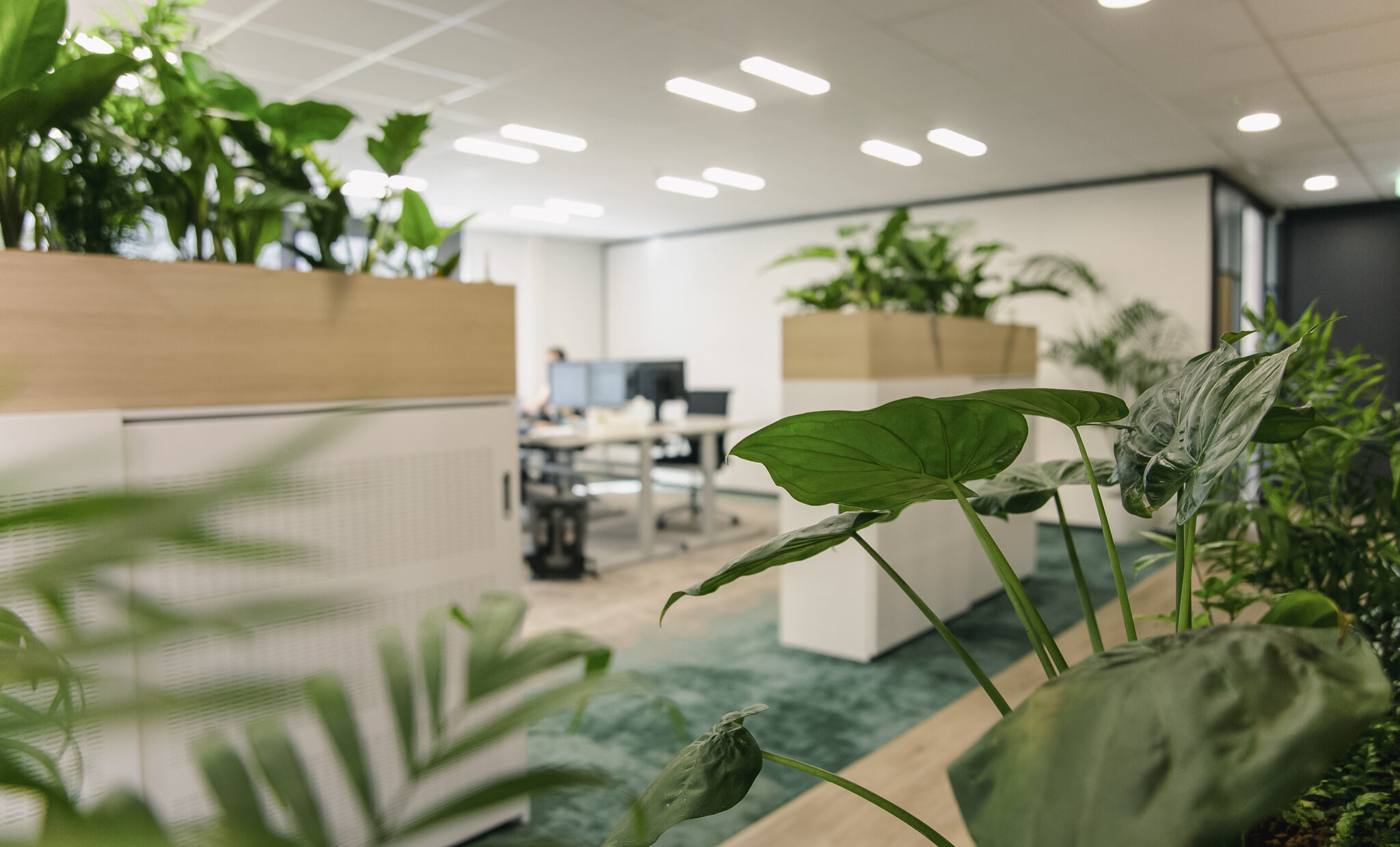 Schaeffler Group – Kantoor Clubhuis Vergaderen Werken - SVDH Interieurontwerp - Interior Design