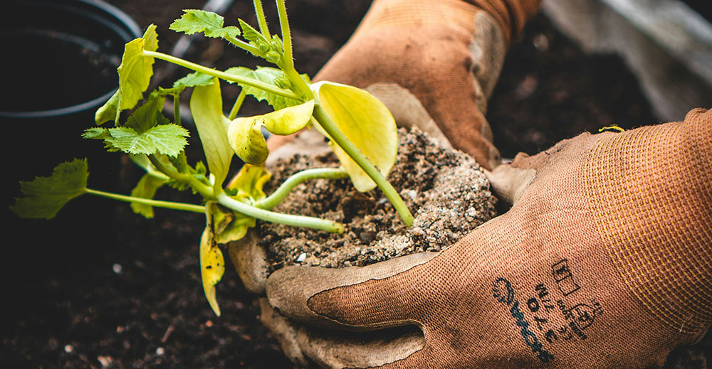 Svea Park nyanläggning
