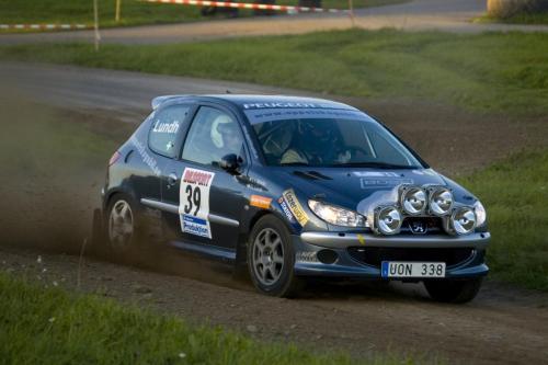 Rally SM Linköping Final