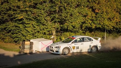 140905-Rally-SM-Linkoping-316