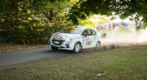 140905-Rally-SM-Linkoping-343