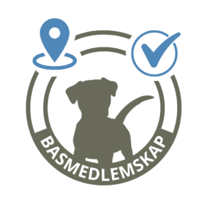 Basmedlemskap 1 år