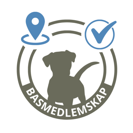 Basmedlemskap 1 år