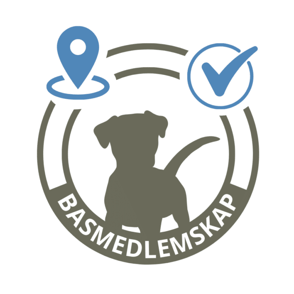 Basmedlemskap 1 år