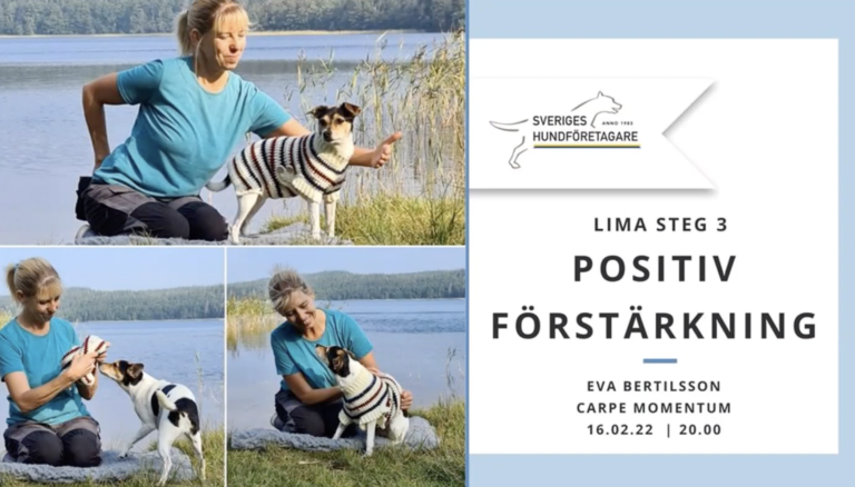 220216 – LIMA steg 3: Positiv Förstärkning