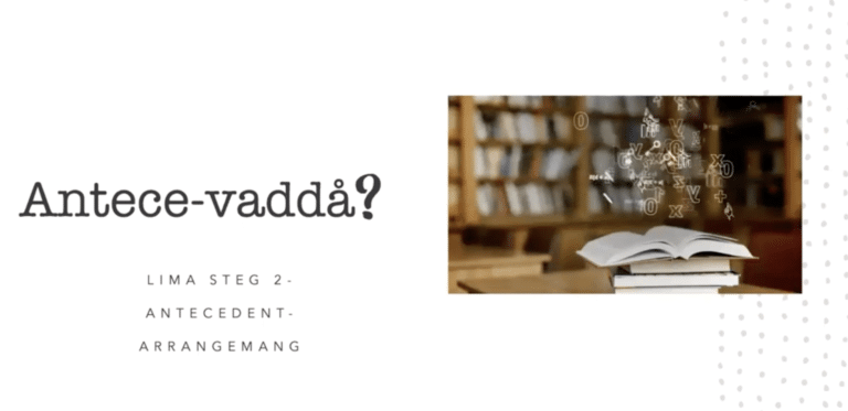 211201 – LIMA steg 2: Antecedentarrangemang
