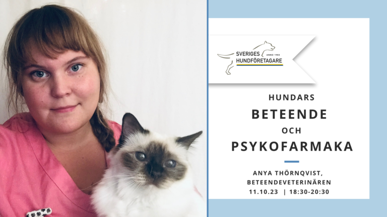 231011 – Hundars beteende och medicin