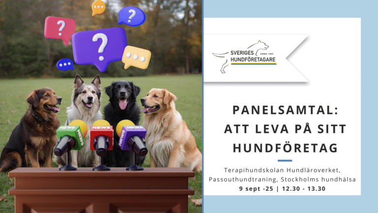 250917 – Panelsamtal: Att leva på sitt hundföretag