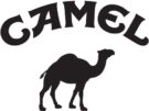 SVIDesign - Camel