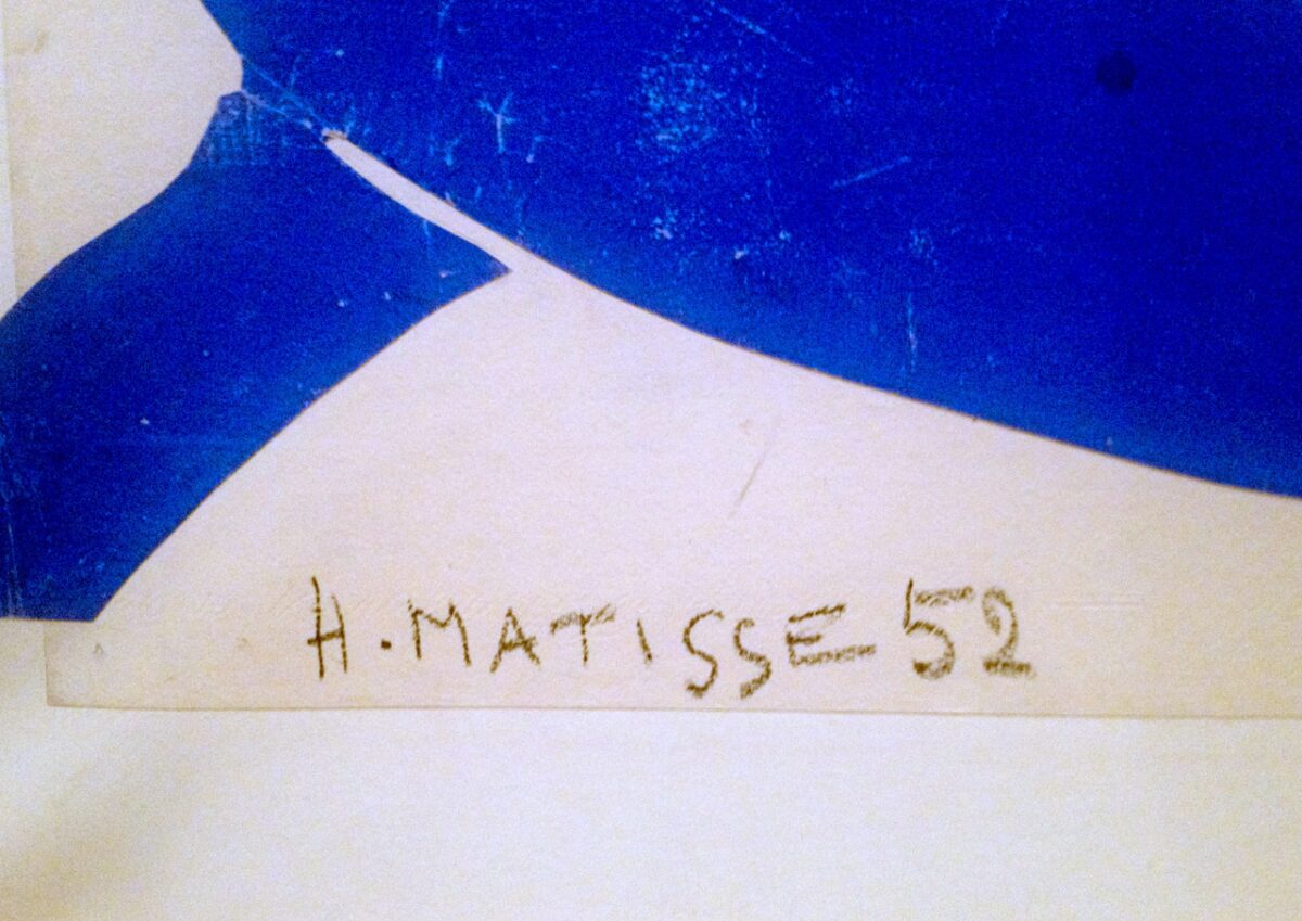 Matisse52 - SVIDesign