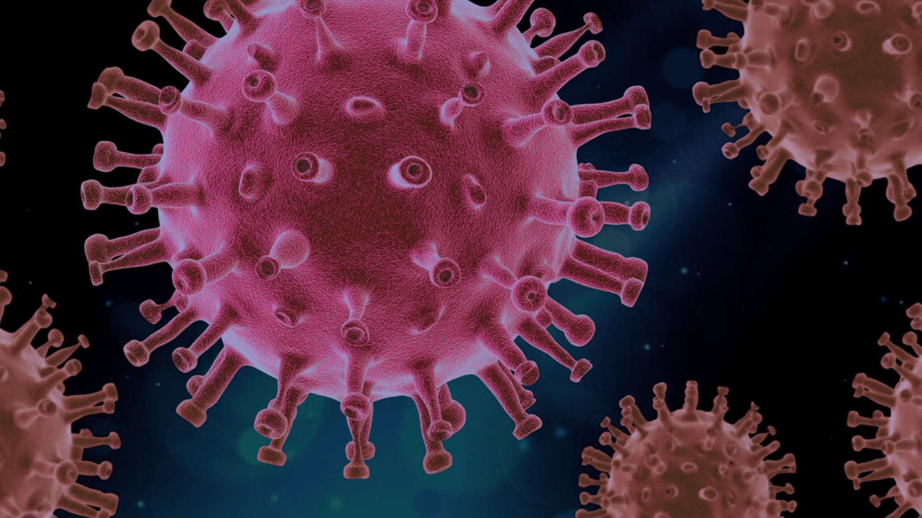 Coronavirus