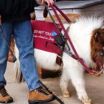 GettyImages-3112787-405a337084eabbd1c80a5eb01aebe28e