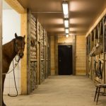 stall