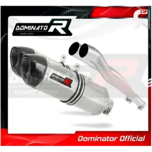Dominator HP1 low dB slipon ZZR1400