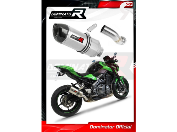 Dominator HP1 Slipon Kawasaki Z900 2017-19