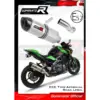 Dominator-HP1 Slipon Kawasaki Z900 2017-19 (E-Godkänd)