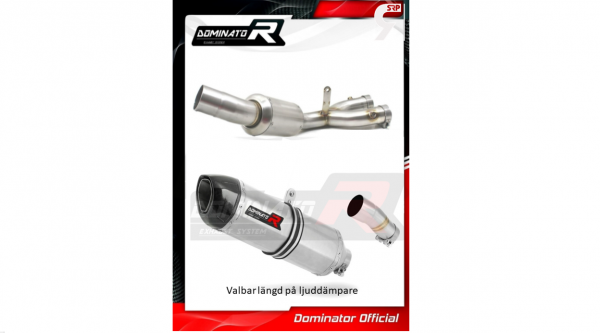 Dominator HP1 low dB system MT10-2022-