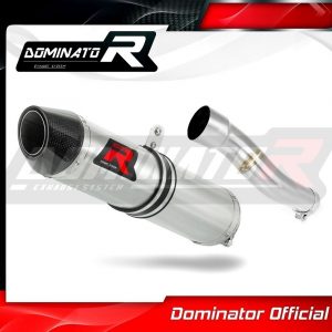 Dominator HP2 Slipon Daytona 675