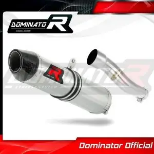 Dominator HP2 Slipon Daytona 675