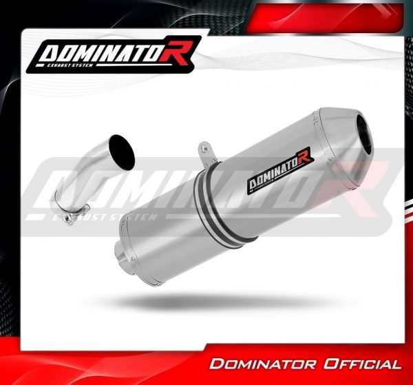 Dominator DVR Slipon F650GS 2008-2012