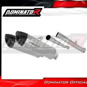 Dominator HP5 Titan-Slipon ZZR 1400 2012-2024