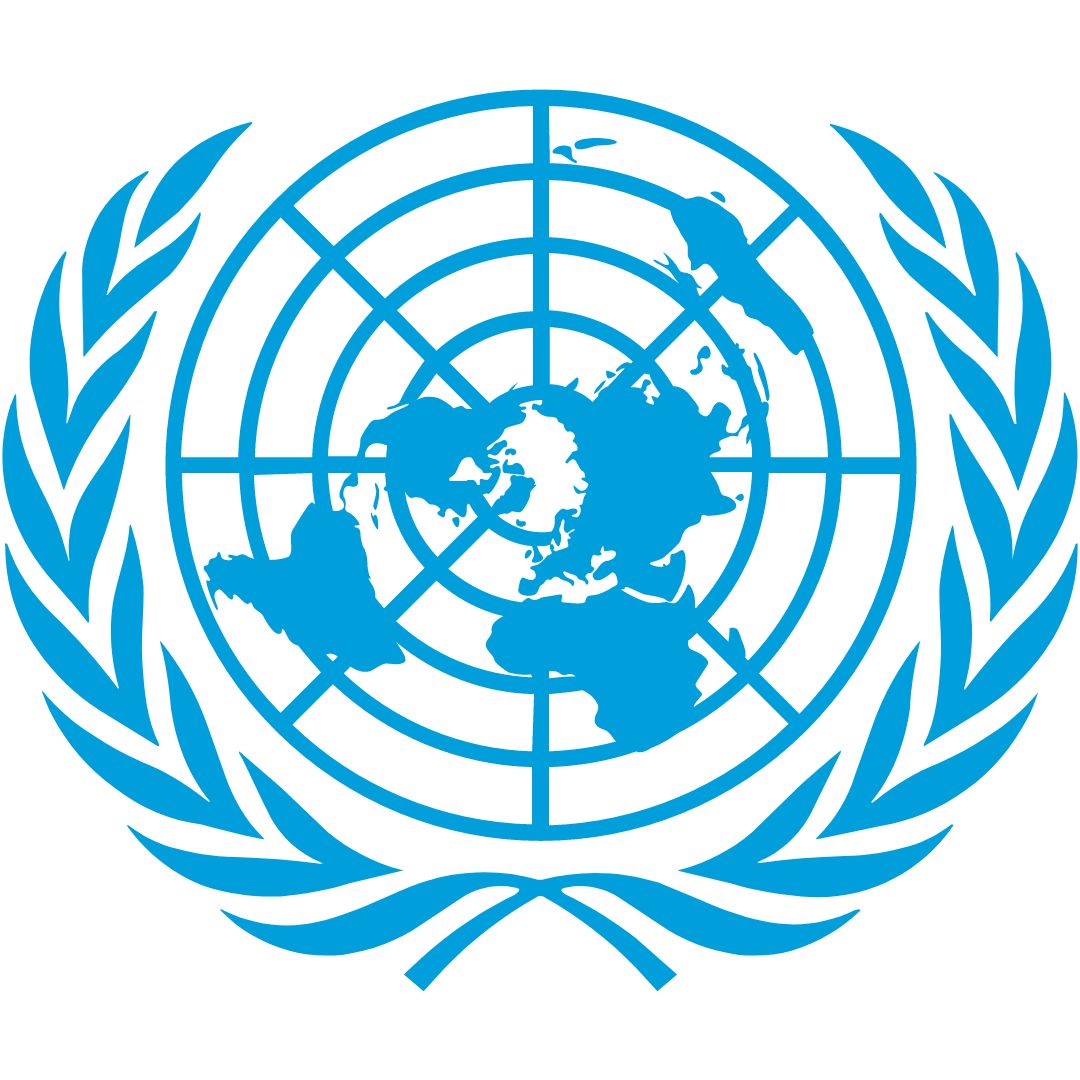 United Nations on Digital Inclusion