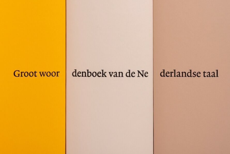 Woordenboeken