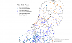 taalkaart patat friet frieten frit frut