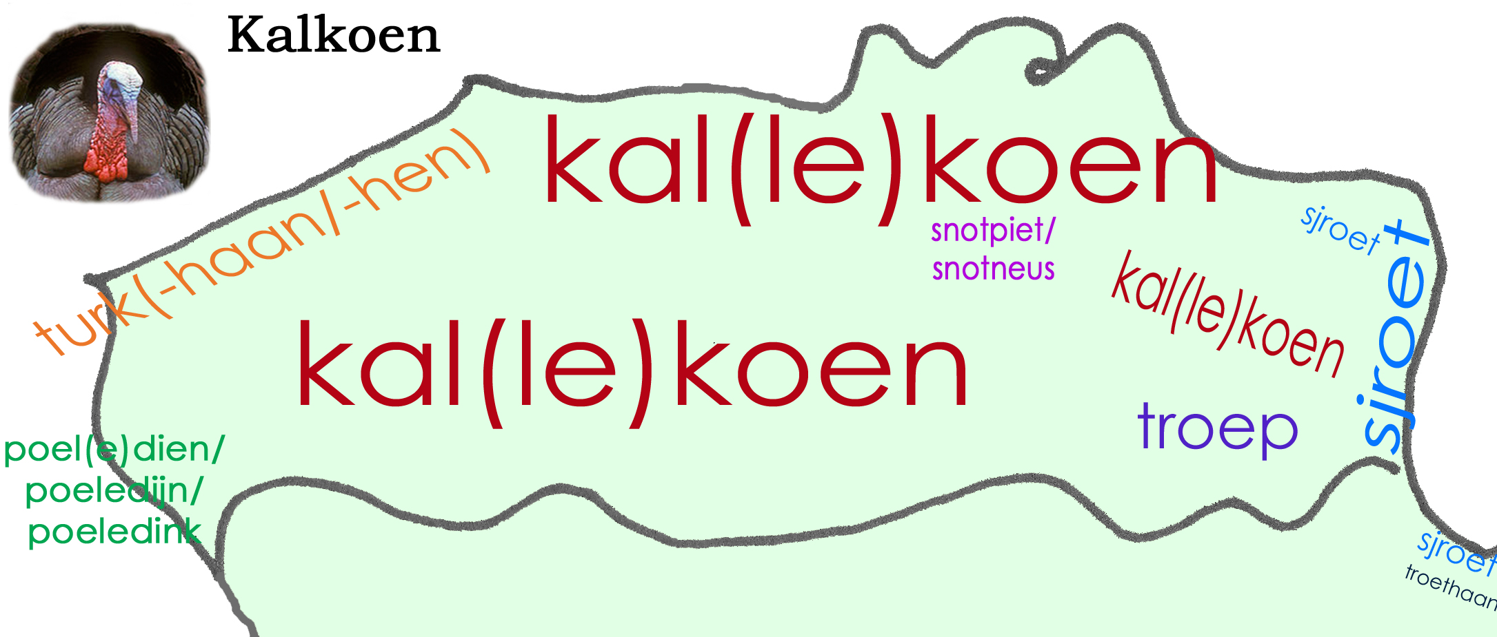 Dialectwoorden kalkoen in Vlaanderen