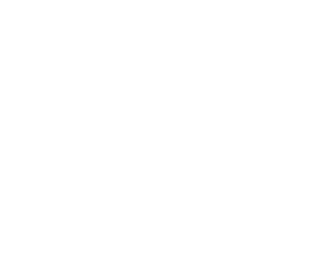 taiga larnaca white logo