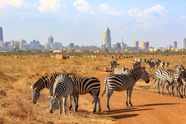 2022 Travel Guide to Africa