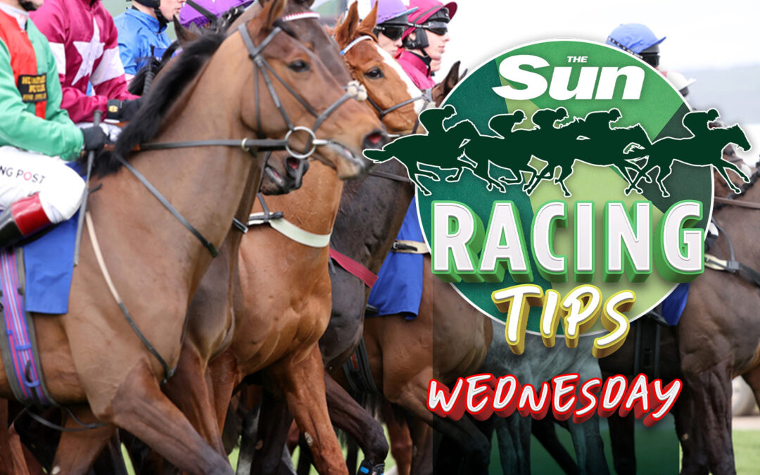 Horse racing tips: Templegate NAP is crying out for this trip and switch to all weather