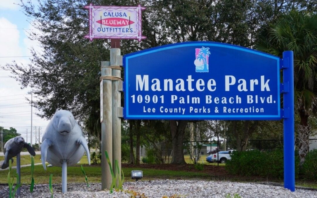 This Is The Best Time To Visit Manatee Park In Fort Myers