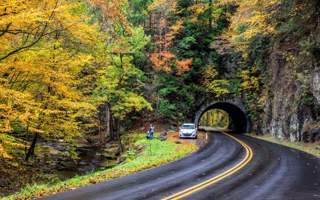 Fall foliage map 2022: The best times for leaf-peeping across the U.S.