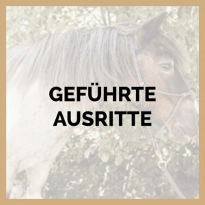 Ferienprogramm_Ausritte