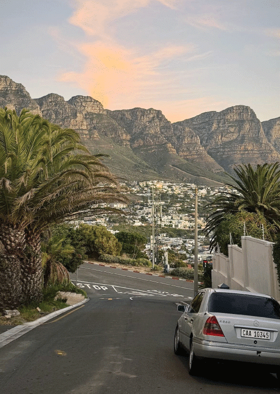 🇿🇦 South Africa JHB Safari & Cape Town Tours & Wellbeing Retreat