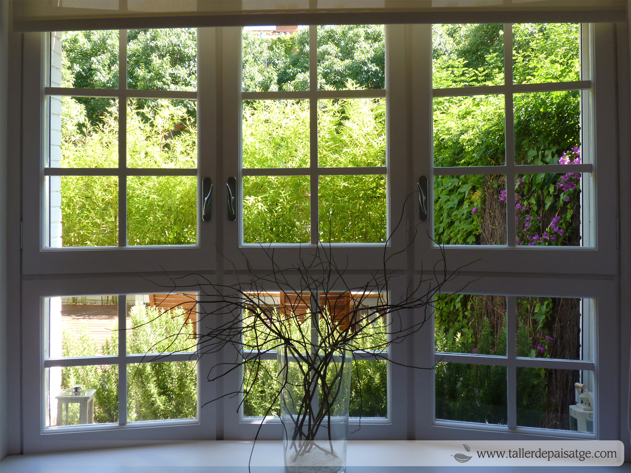vista jardí des de finestral interior