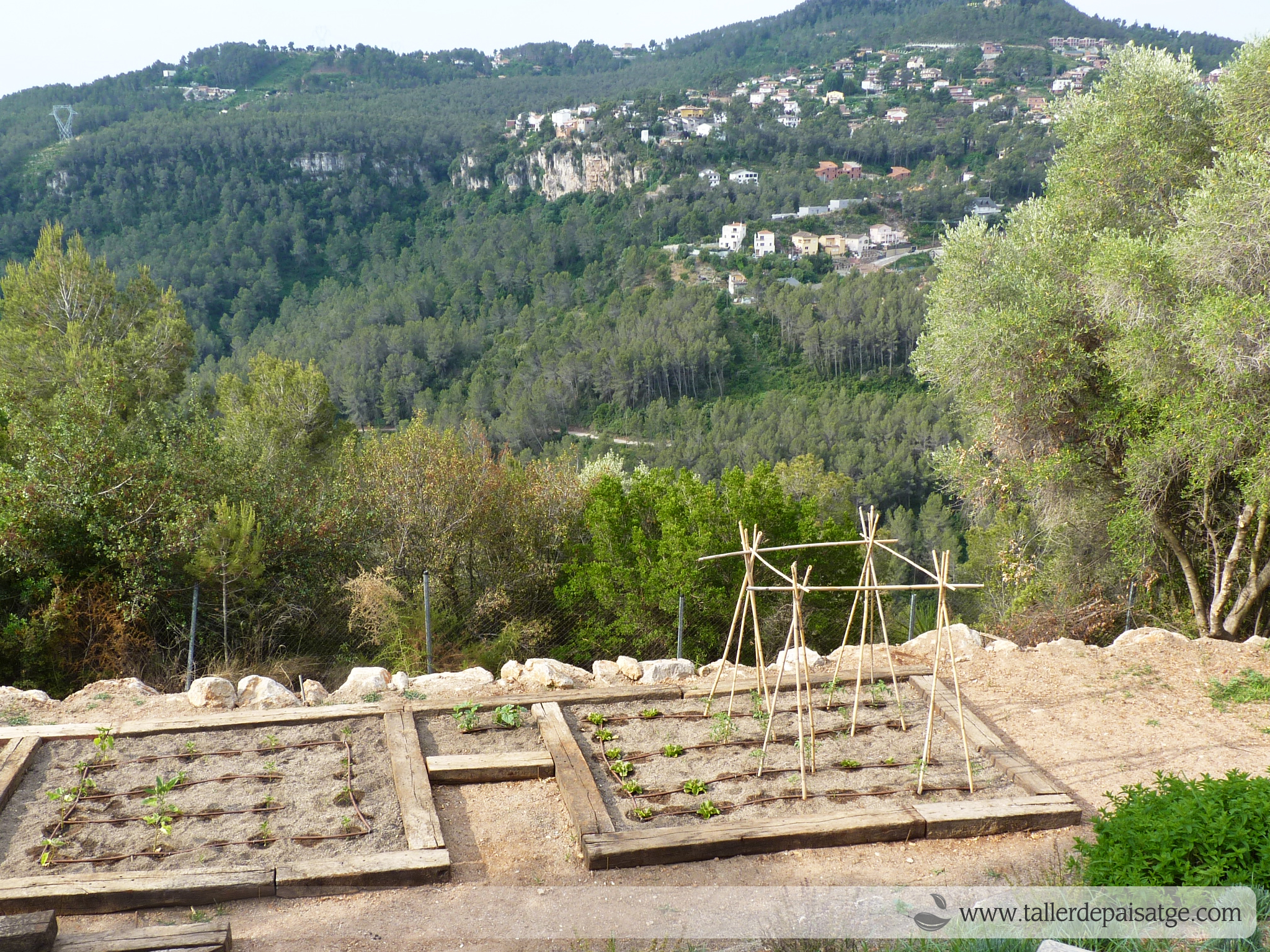 76 jardi Baix Llobregat MA (9)