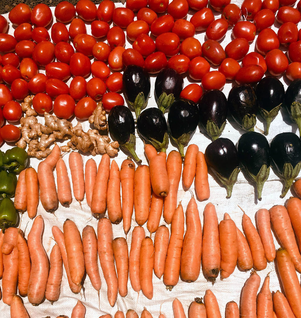 fresh food