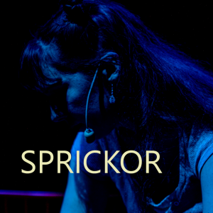 Sprickor - 2024-09-28 19:00