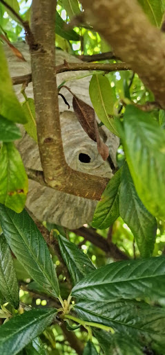 Why Hastings Residents Trust Us for Pest Control